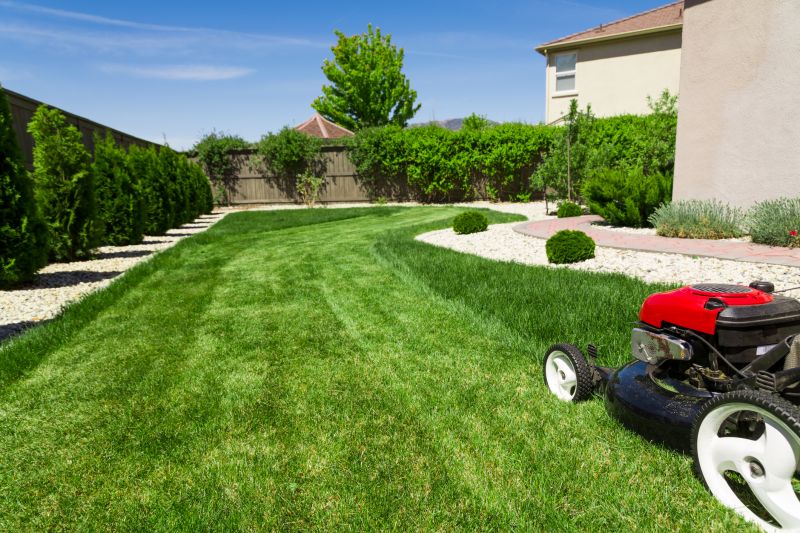 Residential Lawn Mowing detail