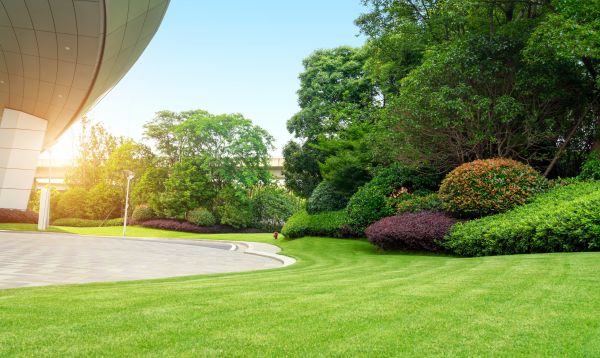 Commercial Lawn Care in Bellingham