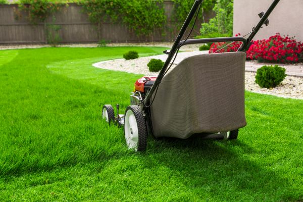Grass Mowing in Bellingham