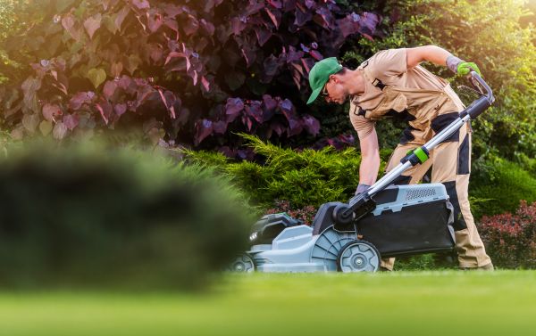 Lawn Care And Maintenance in Bellingham