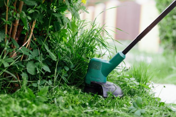 Weed Whacking in Bellingham