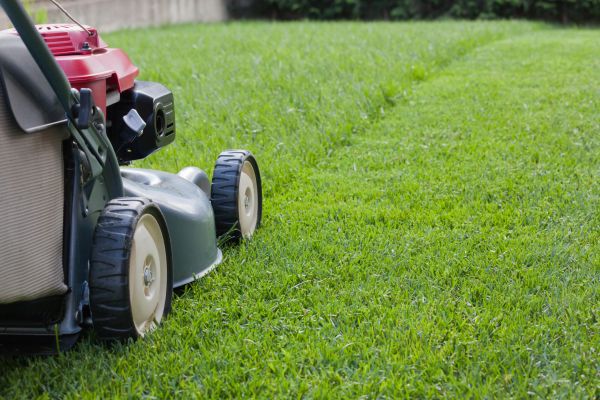 Residential Lawn Care in Bellingham