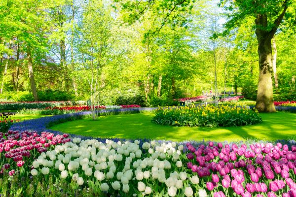 Cost of Spring Lawn Care in Bellingham
