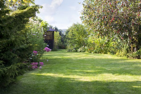 Yard Upkeep Service in Bellingham