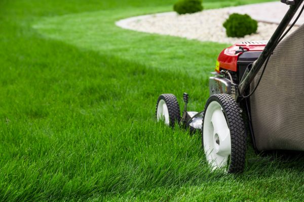 Lawn Service in Bellingham