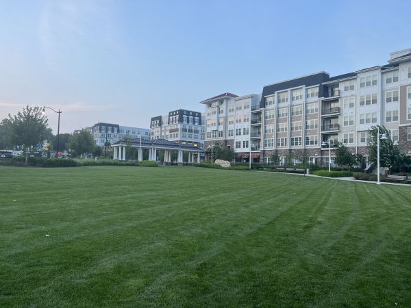 Cost of Urban Lawn Care in Bellingham