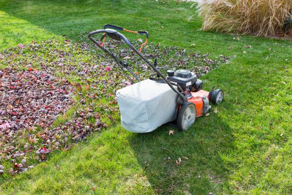 Seasonal Lawn Care in Bellingham