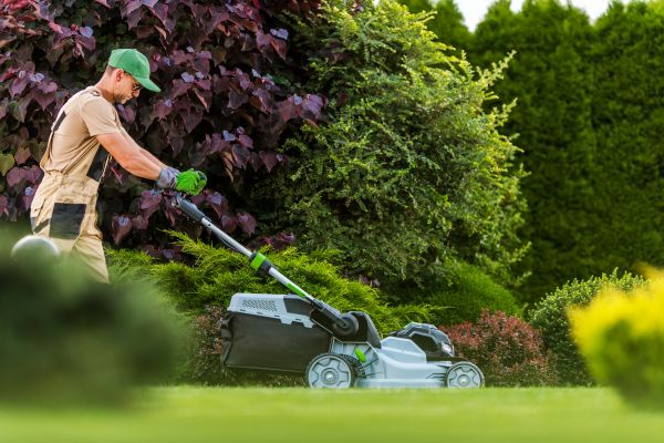Lawn Management in Bellingham