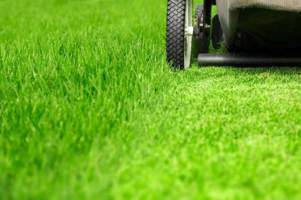 Weekly Lawn Care in Bellingham