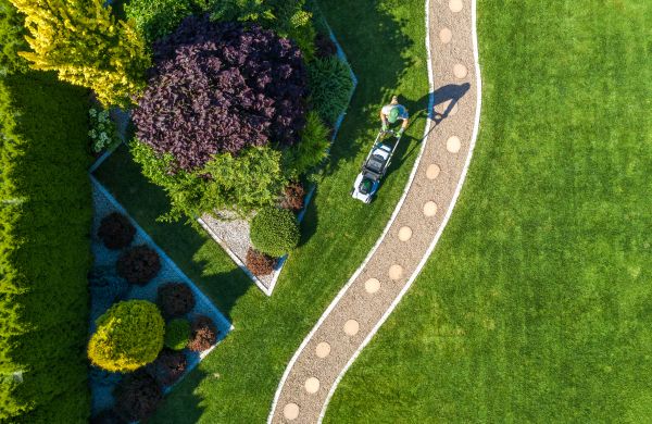 Cost of Mowing And Landscaping in Bellingham