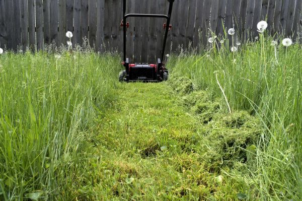 High Grass Mowing in Bellingham