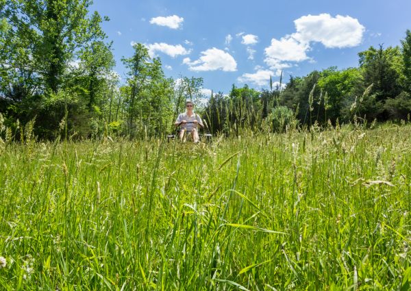 Long Grass Mowing in Bellingham