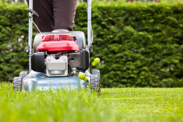 Grass Trimming Service in Bellingham