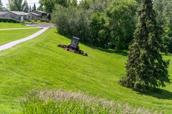 Hill Mowing in Bellingham