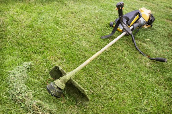 Cost of Hillside Weed Whacking in Bellingham