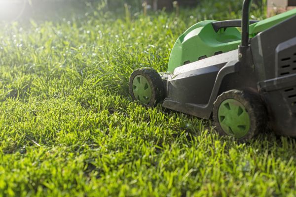 Cost of Lot Mowing in Bellingham