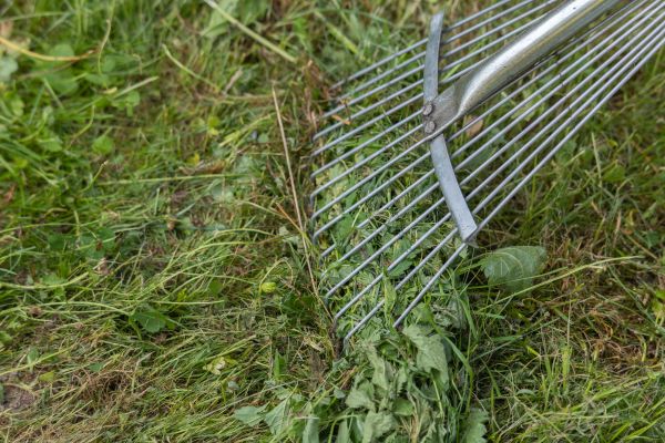 Thatch Raking in Bellingham
