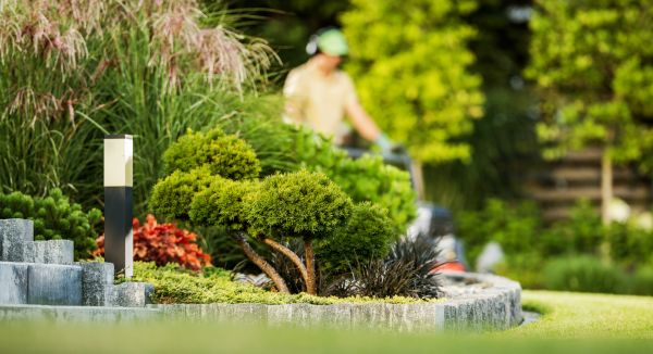 Residential Yard Maintenance in Bellingham