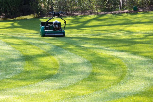 Business Lawn Mowing in Bellingham