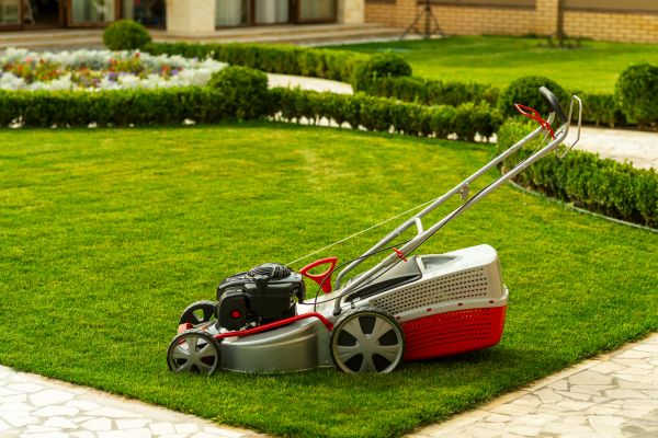 Business Grass Cutting in Bellingham
