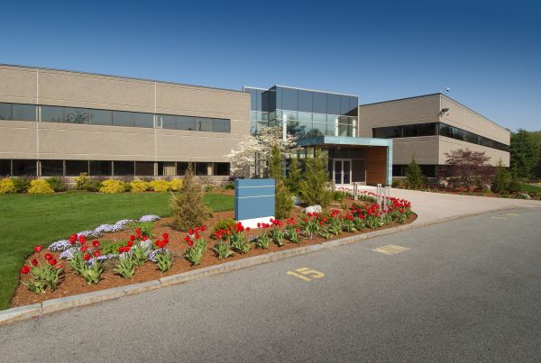 Commercial Groundskeeping in Bellingham