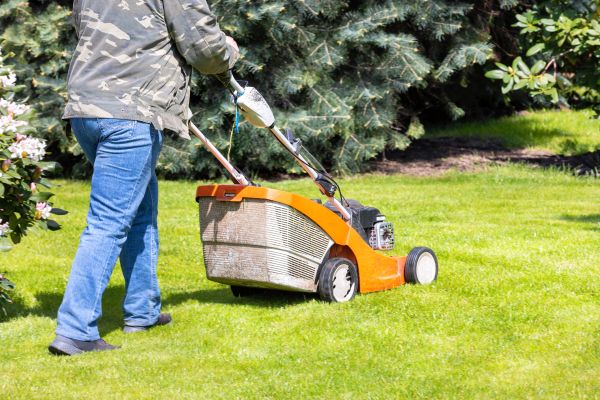 Springtime Lawn Care in Bellingham
