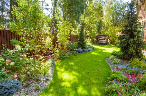 Spring Yard Maintenance in Bellingham