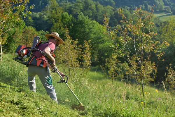 Slope Mowing in Bellingham