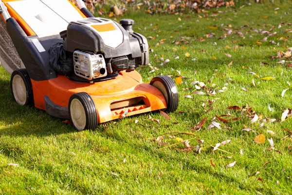Cost of Fall Mowing in Bellingham
