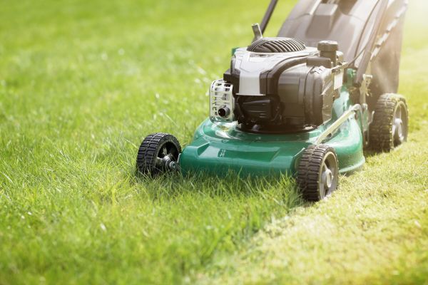 Cost of Spring Grass Trimming in Bellingham