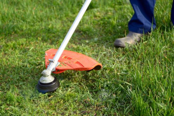 Cost of Lawn Weed Whacking in Bellingham